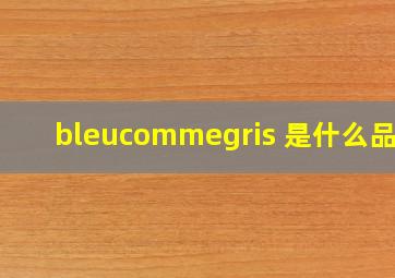 bleucommegris 是什么品牌